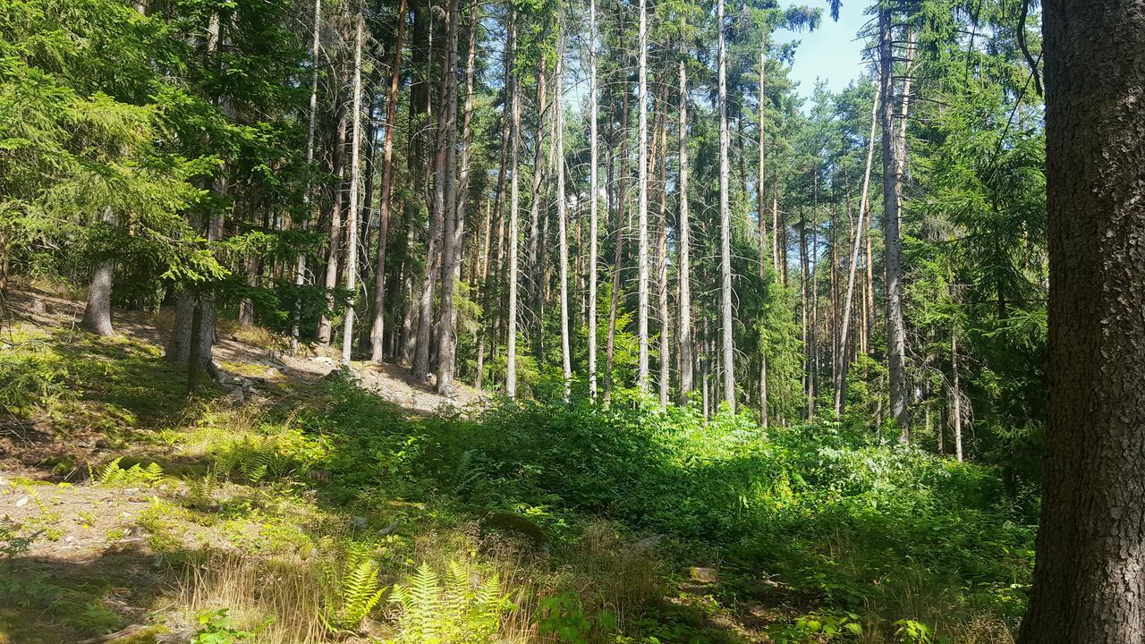Malebná chalupa u Javorníku na Šumavě Vacov Exterior foto
